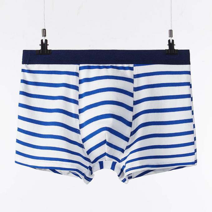 XXXL 165 کیلوگرم 95 کیلوگرم لباس زیر نخی مردانه سکسی شلوارک نخی خالص ورزش راه راه بزرگسالان 7