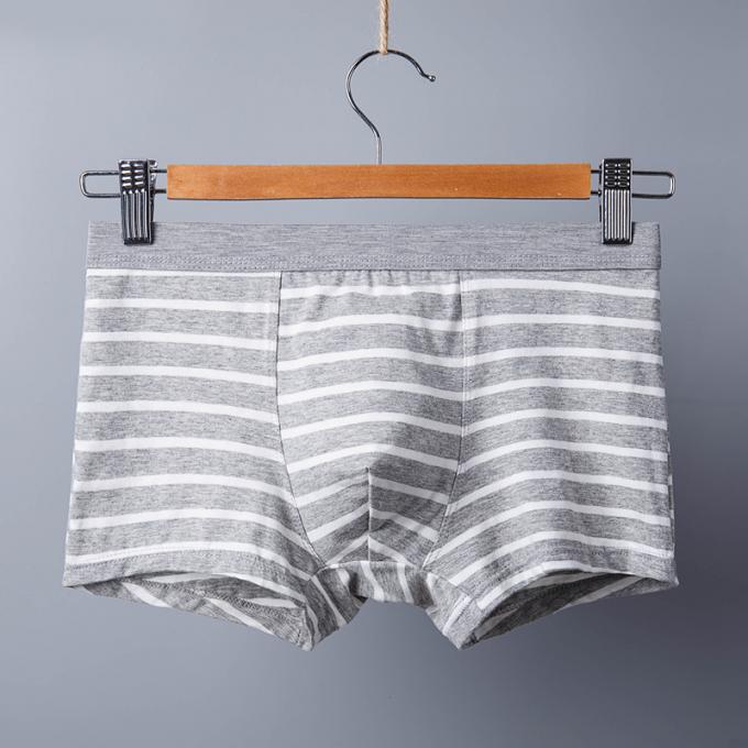 XXXL 165 کیلوگرم 95 کیلوگرم لباس زیر نخی مردانه سکسی شلوارک نخی خالص ورزش راه راه بزرگسالان 5