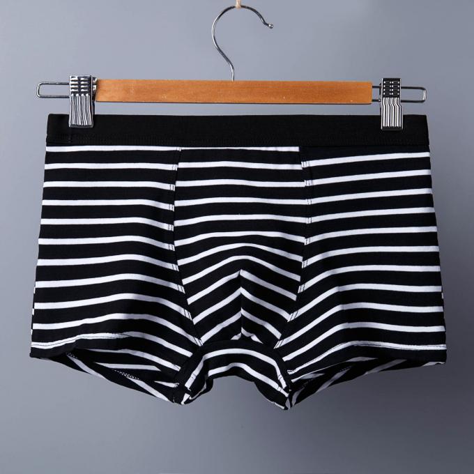 XXXL 165 کیلوگرم 95 کیلوگرم لباس زیر نخی مردانه سکسی شلوارک نخی خالص ورزش راه راه بزرگسالان 6