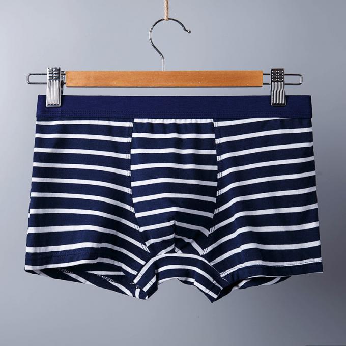 XXXL 165 کیلوگرم 95 کیلوگرم لباس زیر نخی مردانه سکسی شلوارک نخی خالص ورزش راه راه بزرگسالان 4